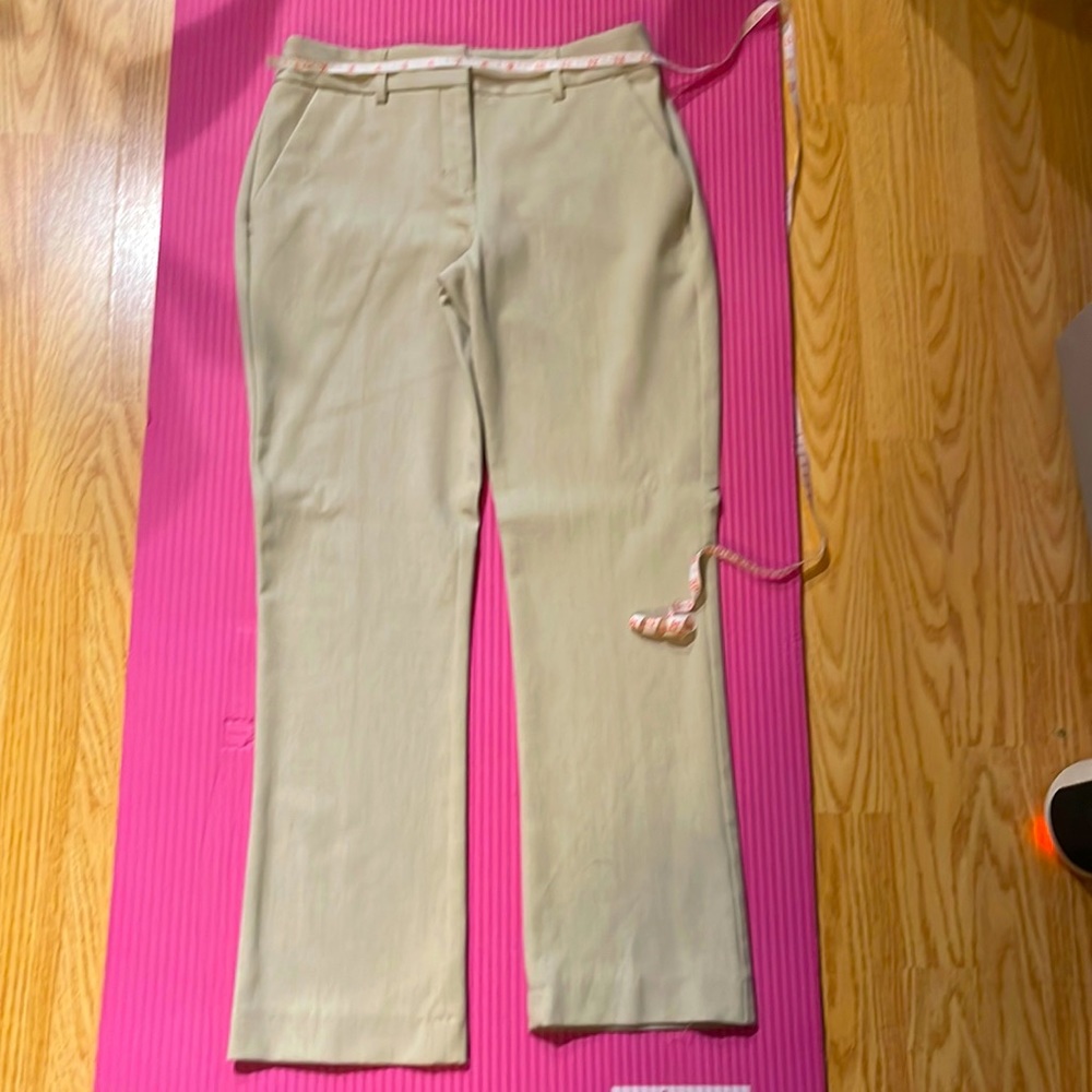 Washed And Worn Once Express Columnist Slacks - image 1